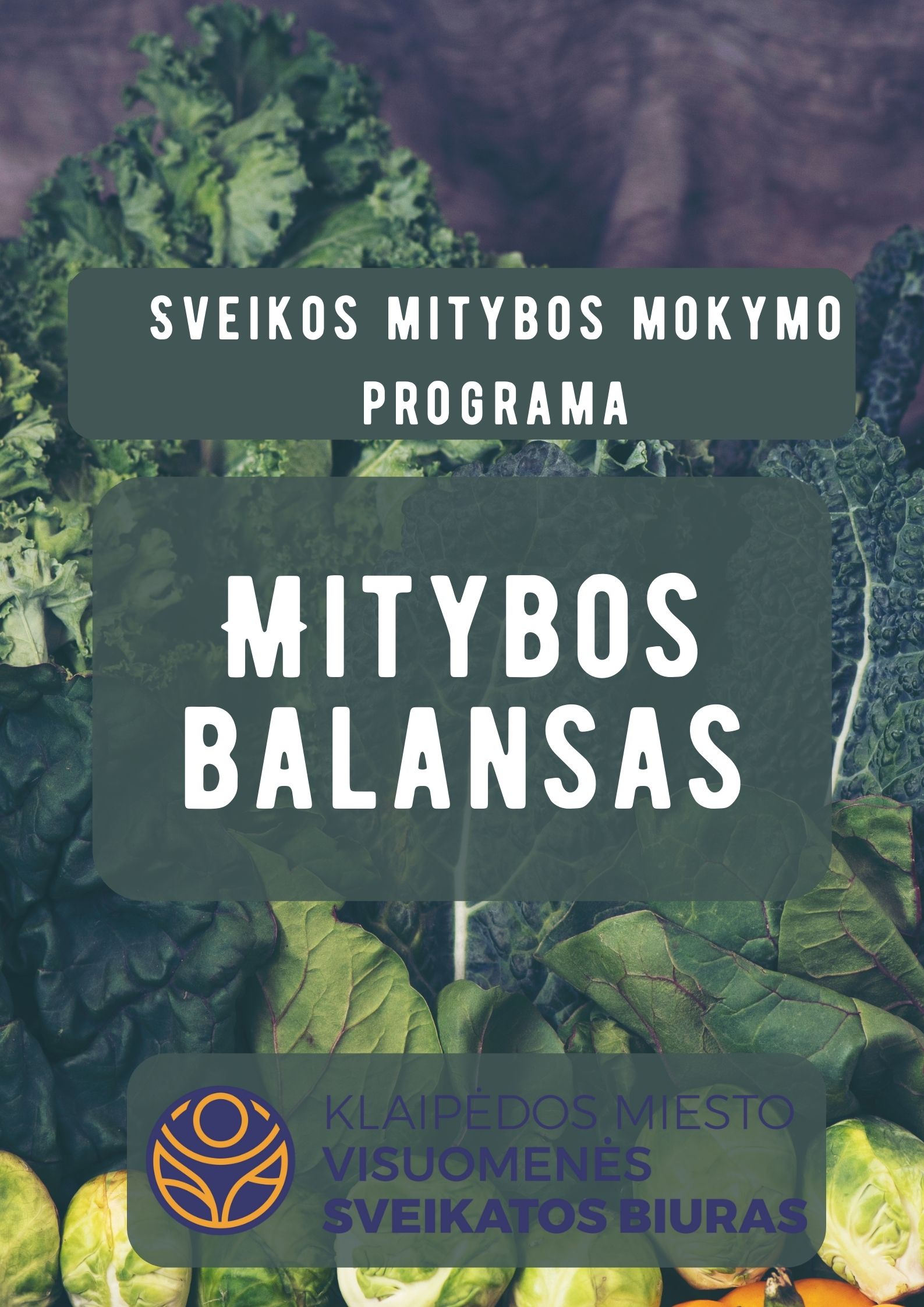 sveikos-mitybos-mokymo-programa-„mitybos-balansas“