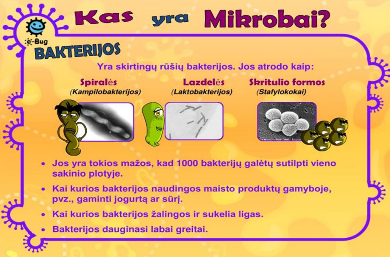 stop-mikrobai-–-plaunu-rankytes!