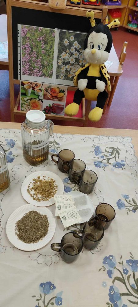 seduvos-lopselio-darzelio-,,katineliu“-grupes-edukacine-veikla:-,,arbatele-sveikatele“