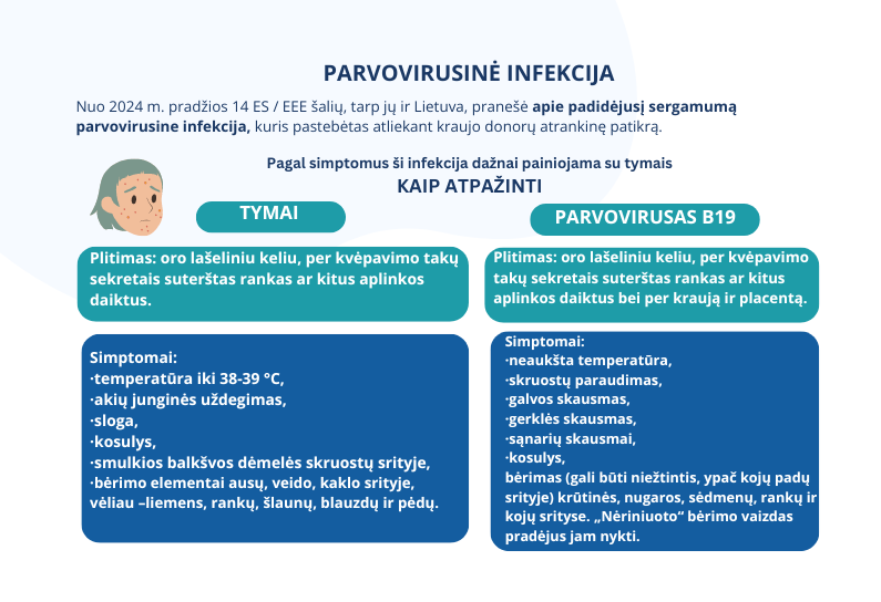 parvovirusine-infekcija